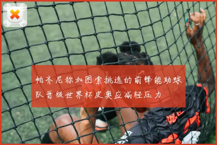 帕齐尼称加图索挑选的前锋能助球队晋级世界杯皮奥应减轻压力